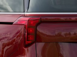 
 Kia Carnival Hybrid full									