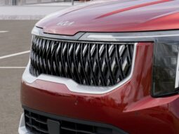 
 Kia Carnival Hybrid full									