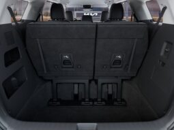 
 Kia Carnival Hybrid full									