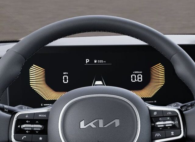 
 Kia Carnival Hybrid full									