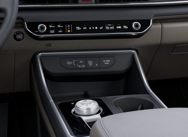 
 Kia Carnival Hybrid full									