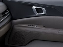 
 Kia Carnival Hybrid full									