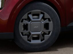 
 Kia Carnival Hybrid full									