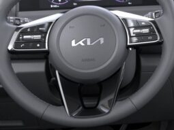 
 Kia Seltos full									