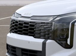 
 Kia Sportage Hybrid full									