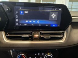 
 Chevrolet TrailBlazer full									