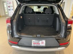 
 Chevrolet TrailBlazer full									