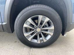 
 Chevrolet Equinox full									