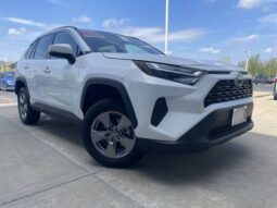 
 Toyota RAV4 full									