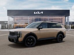 
 Kia Telluride full									