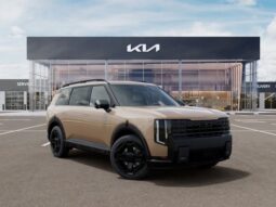 
 Kia Telluride full									