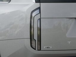 
 Kia Telluride Hybrid full									