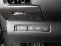 
 Nissan Pathfinder full									