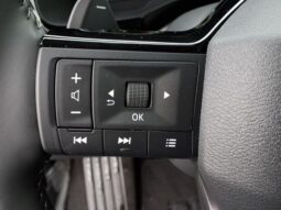 
 Nissan Pathfinder full									