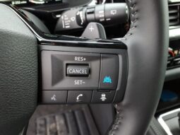 
 Nissan Pathfinder full									