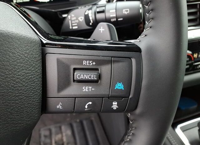 
 Nissan Pathfinder full									