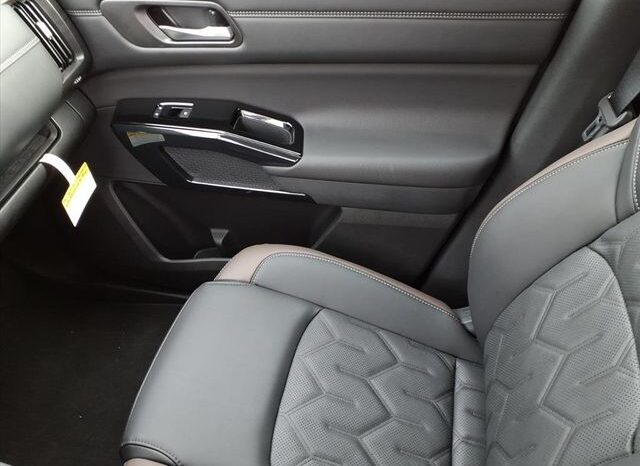 
 Nissan Pathfinder full									