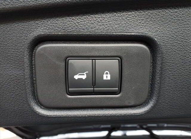 
 Nissan Pathfinder full									