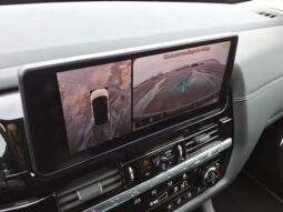 
 Nissan Pathfinder full									