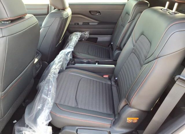 
 Nissan Pathfinder full									