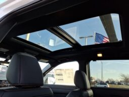 
 Nissan Pathfinder full									