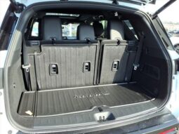 
 Nissan Pathfinder full									
