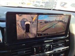 
 Nissan Pathfinder full									