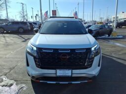 
 Nissan Pathfinder full									