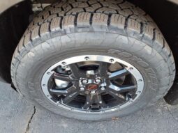 
 Nissan Pathfinder full									