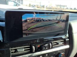 
 Nissan Pathfinder full									