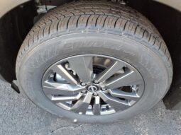 
 Nissan Pathfinder full									