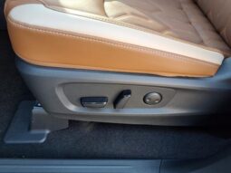 
 Nissan Pathfinder full									