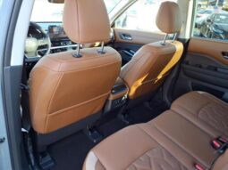 
 Nissan Pathfinder full									