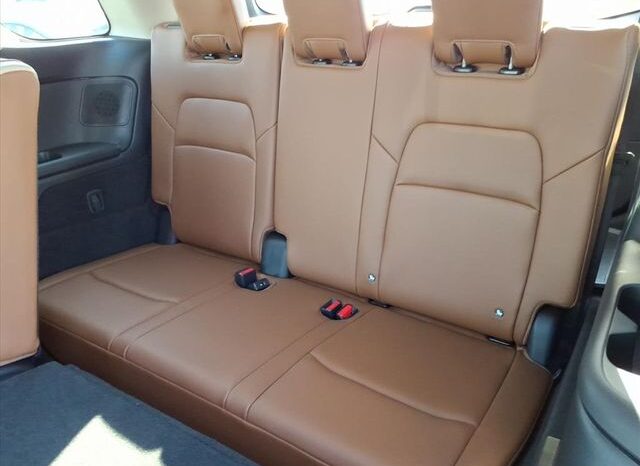 
 Nissan Pathfinder full									