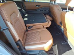 
 Nissan Pathfinder full									