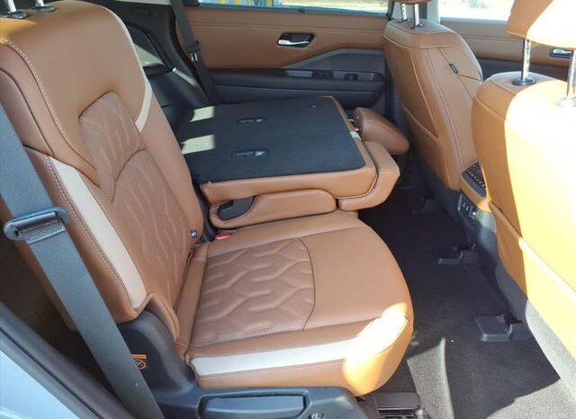 
 Nissan Pathfinder full									