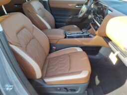
 Nissan Pathfinder full									