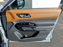 
 Nissan Pathfinder full									