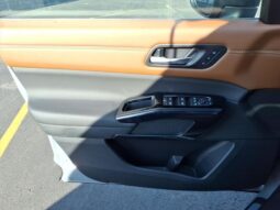 
 Nissan Pathfinder full									