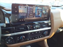 
 Nissan Pathfinder full									