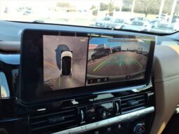 
 Nissan Pathfinder full									