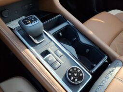 
 Nissan Pathfinder full									