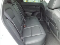 
 Nissan Murano full									