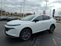 
 Nissan Murano full									