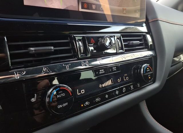
 Nissan Pathfinder full									