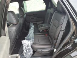 
 Nissan Pathfinder full									
