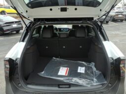
 Nissan Kicks full									