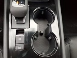 
 Nissan Rogue full									