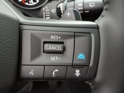 
 Nissan Rogue full									