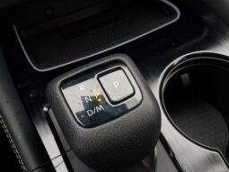 
 Nissan Rogue full									